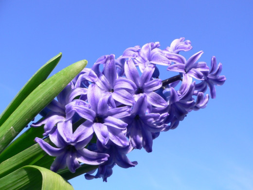 432890 (a): :1024x768